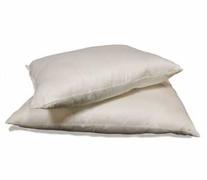 pillowbig-1.jpg