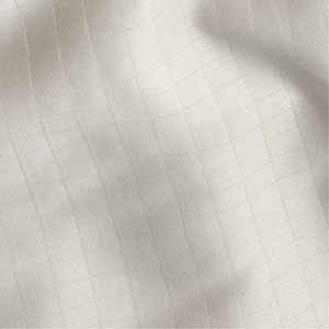 windowpane-300.jpg