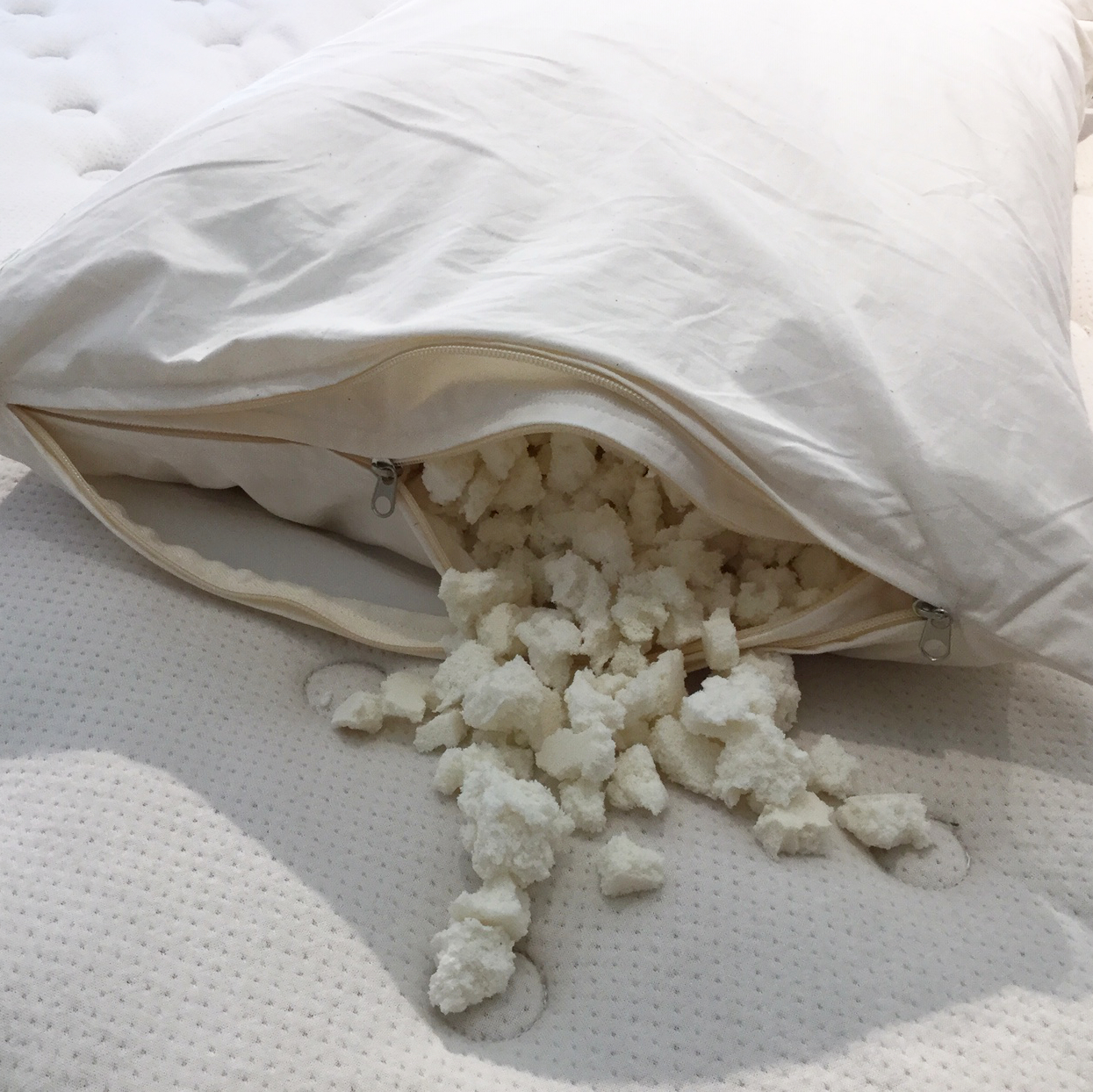 best shredded latex pillow