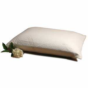 Molded 100 Natural Latex Pillows