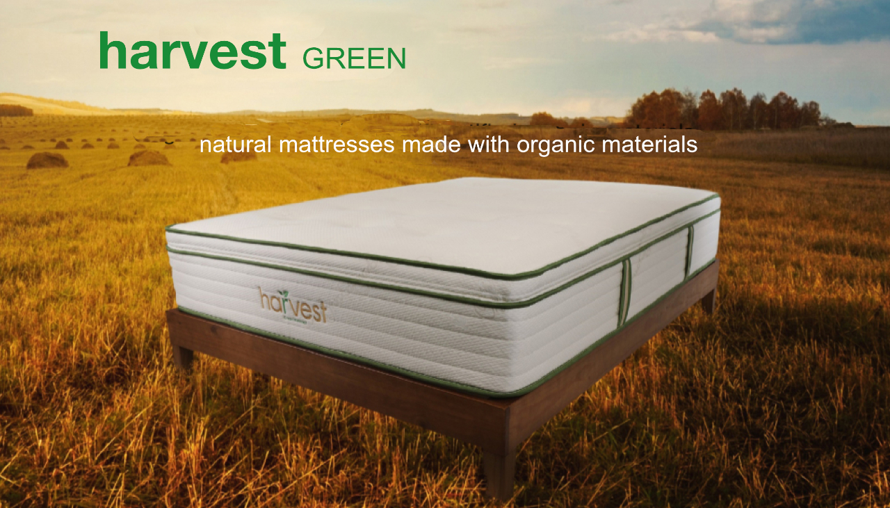 harvest green organic mattresses