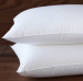 down-pillow-2top